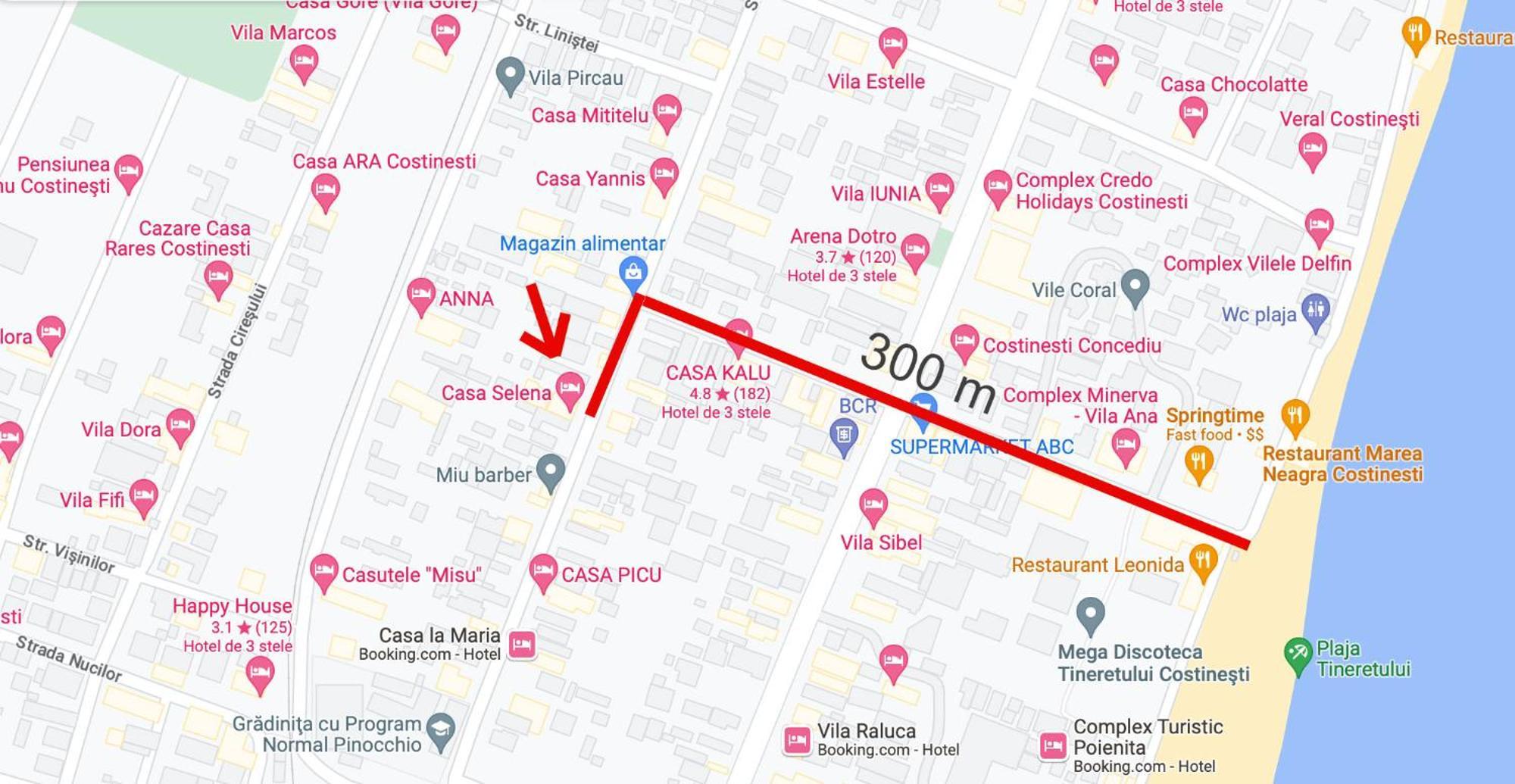 Casa Selena Hotel Costinesti Ngoại thất bức ảnh